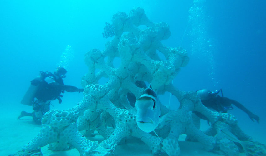 Barrière de corail par impression 3D